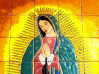 The Virgin of Guadalupe