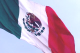 Mexican Flag