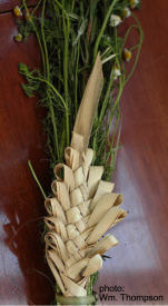 Woven Palm Fronds for Palm Sunday, Holy week, Mexico
