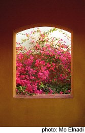 Mexican Window full of Bougainvillea