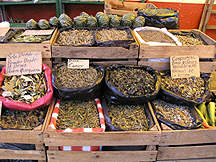 Herbs for sale in the open market, San Miguel de Allende