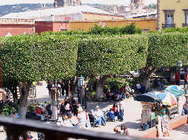 The Jardin of San Miguel de Allende on a typical morning